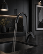 Artifice Home™ Artec Pearson Gourmet Pull-Out Faucet