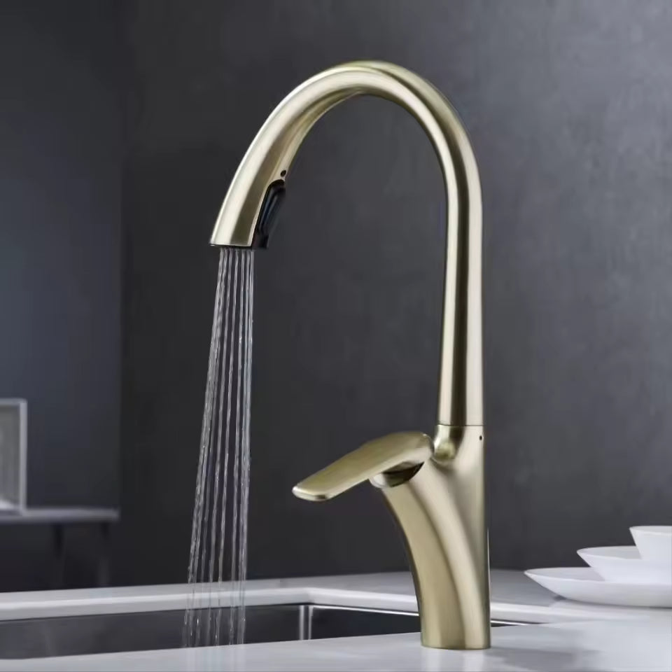 Artifice Home™ Artec Pearson Gourmet Pull-Out Faucet