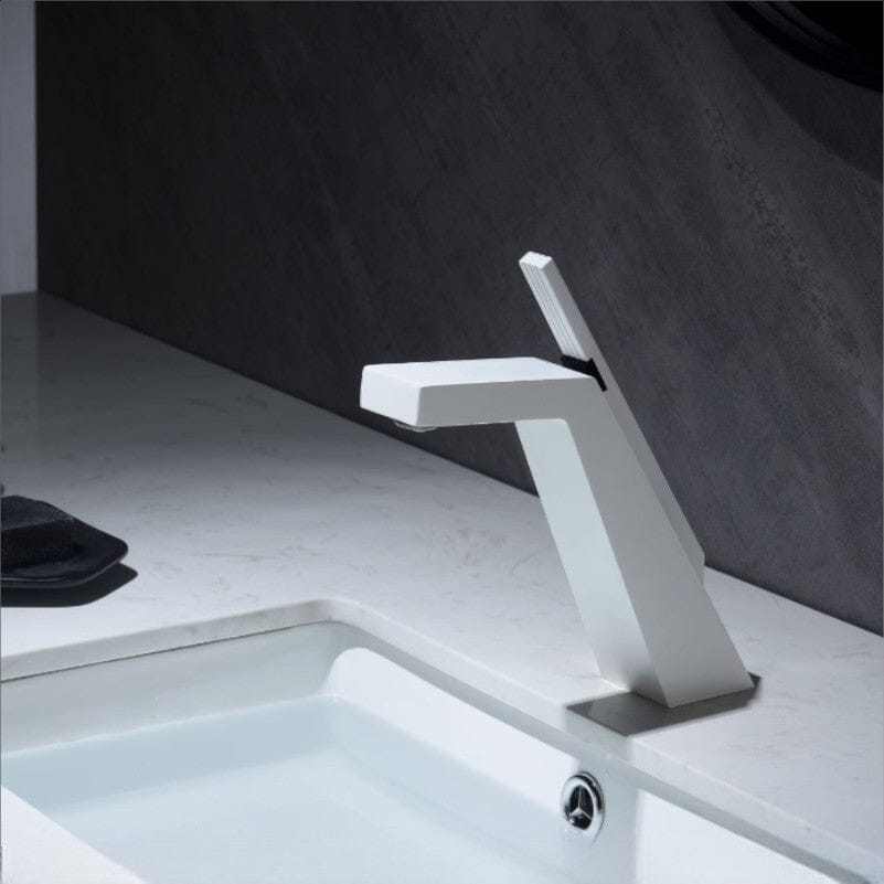 Roolter Bathroom Faucet