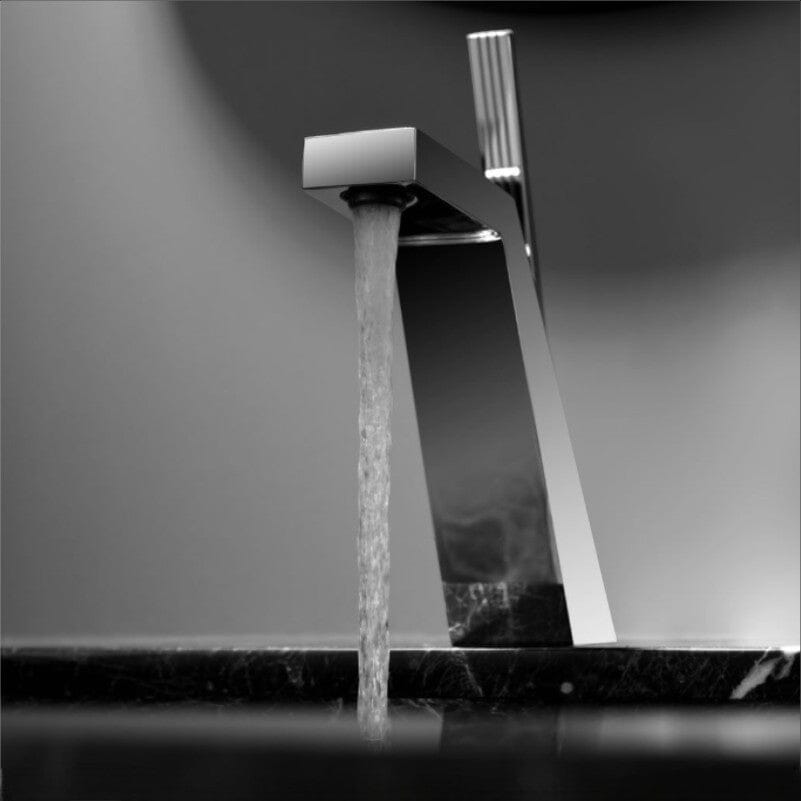 Roolter Bathroom Faucet