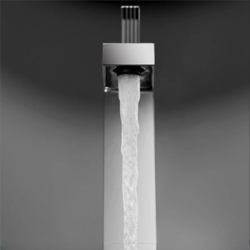 Roolter Bathroom Faucet