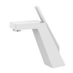 Roolter Bathroom Faucet