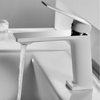 Troller Bathroom Faucet