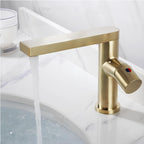 Artifice Home Selection Exclusive Bathroom Faucet