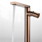 Artifice Home Selection Exclusive Bathroom Faucet