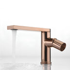 Artifice Home Selection Exclusive Bathroom Faucet