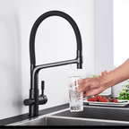 Artifice Home Essential Kitchen Faucet with Water Filter Way