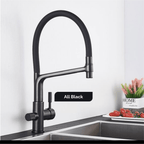 Artifice Home Essential Kitchen Faucet with Water Filter Way
