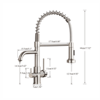 Ballon Dual-Purpose Kitchen Faucet with Integrated Drinking Water Filter