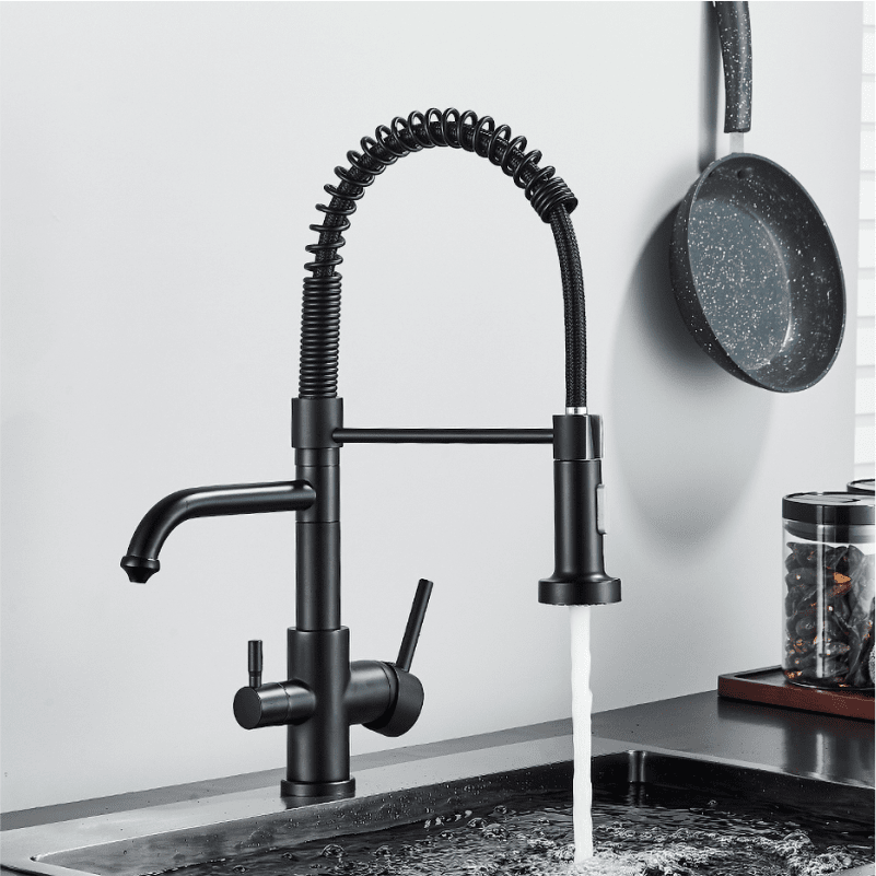 Ballon Dual-Purpose Kitchen Faucet with Integrated Drinking Water Filter