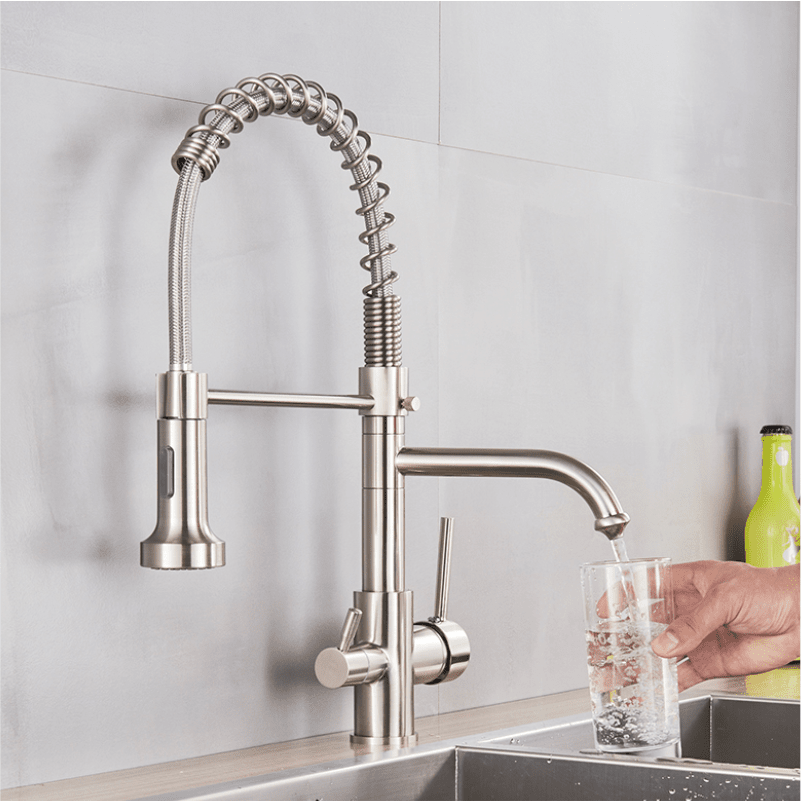 Ballon Dual-Purpose Kitchen Faucet with Integrated Drinking Water Filter