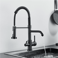Ballon Dual-Purpose Kitchen Faucet with Integrated Drinking Water Filter
