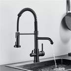 Ballon Dual-Purpose Kitchen Faucet with Integrated Drinking Water Filter
