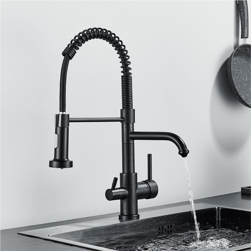 Ballon Dual-Purpose Kitchen Faucet with Integrated Drinking Water Filter
