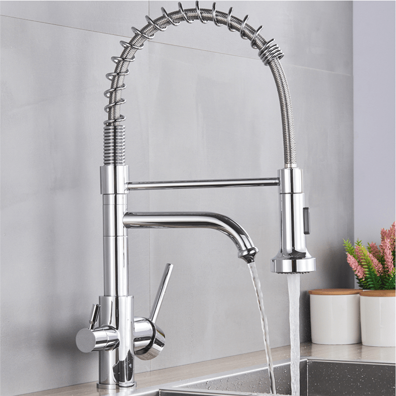 Ballon Dual-Purpose Kitchen Faucet with Integrated Drinking Water Filter