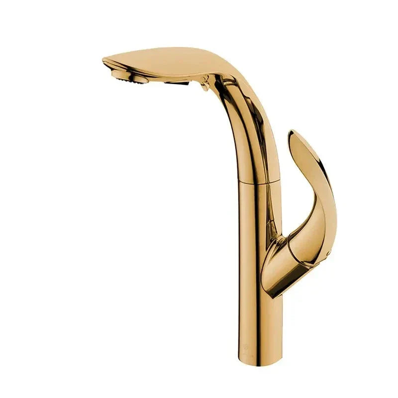 Elixir Gold Gourmet Kitchen Faucet - High-End