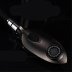 Elixir Gold Gourmet Kitchen Faucet - High-End