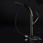 Elixir Gold Gourmet Kitchen Faucet - High-End