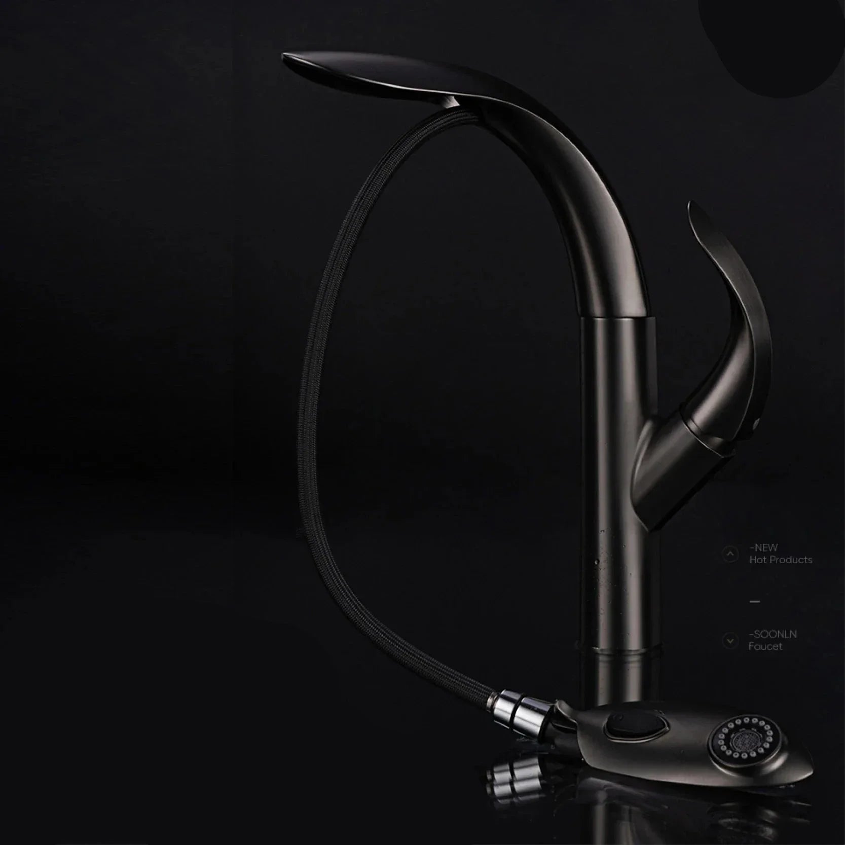 Elixir Gold Gourmet Kitchen Faucet - High-End