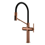 Espartacus Minimalist Gourmet Kitchen Faucet