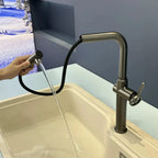 Meduzza Premium Gourmet Kitchen Faucet