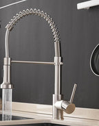 Chef Gourmet Pull-Down Kitchen Faucet with Hot & Cold Mixer