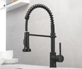 Chef Gourmet Pull-Down Kitchen Faucet with Hot & Cold Mixer
