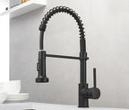 Chef Gourmet Pull-Down Kitchen Faucet with Hot & Cold Mixer