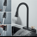 Gourmet Kitchen Faucet with Waterfall