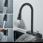 Gourmet Kitchen Faucet with Waterfall