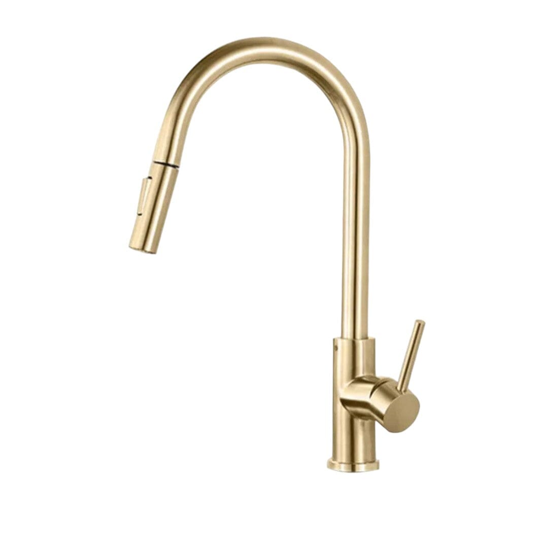 Minimalist Kitchen Faucet