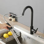 Artifice Bless High-End Gourmet Kitchen Faucet