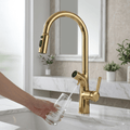 AquaPura Gold Gourmet Faucet