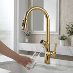 AquaPura Gold Gourmet Faucet