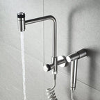 Gourmet Kitchen Faucet with Crossver Pull-Down Hand Spray