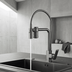 Gourmet Faucet with Filter, Single Lever, Countertop, Eirelez Platinum