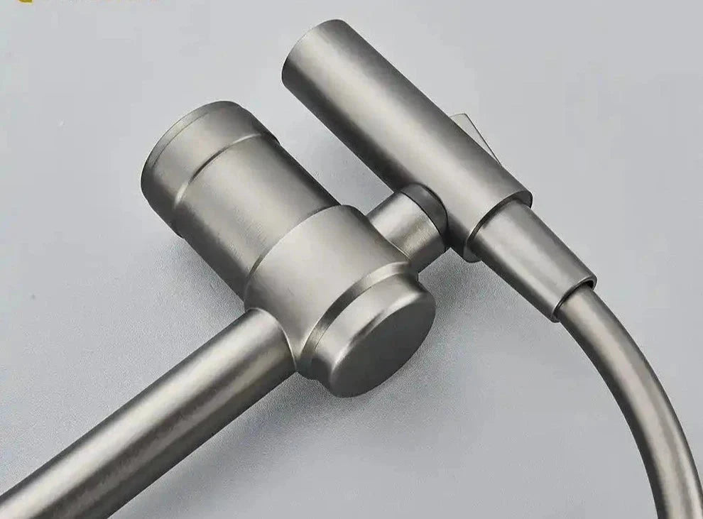 Gourmet Faucet with Filter, Single Lever, Countertop, Eirelez Platinum