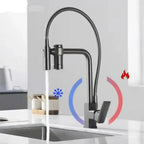 Gourmet Faucet with Filter, Single Lever, Countertop, Eirelez Platinum