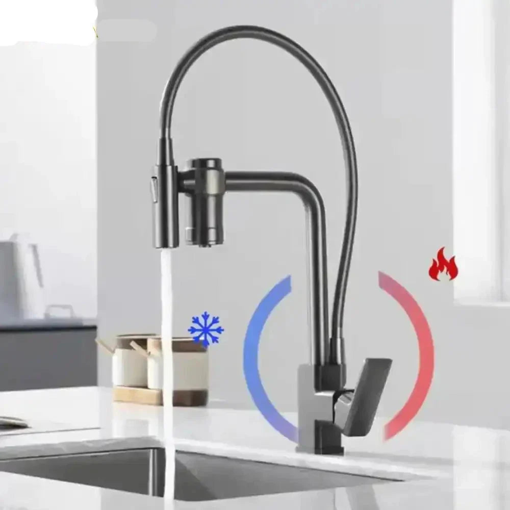 Gourmet Faucet with Filter, Single Lever, Countertop, Eirelez Platinum