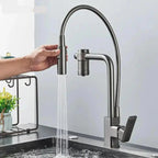Gourmet Faucet with Filter, Single Lever, Countertop, Eirelez Platinum