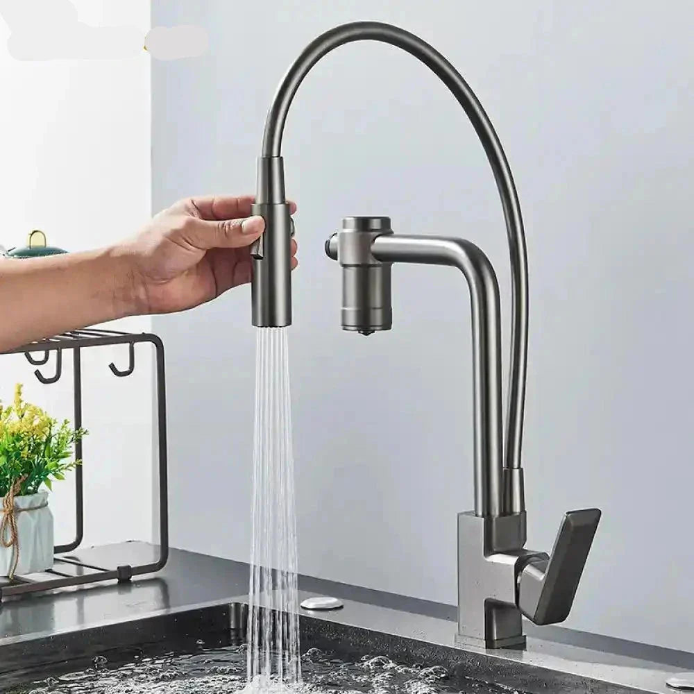 Gourmet Faucet with Filter, Single Lever, Countertop, Eirelez Platinum