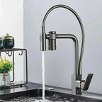 Gourmet Faucet with Filter, Single Lever, Countertop, Eirelez Platinum