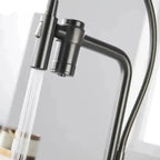 Gourmet Faucet with Filter, Single Lever, Countertop, Eirelez Platinum