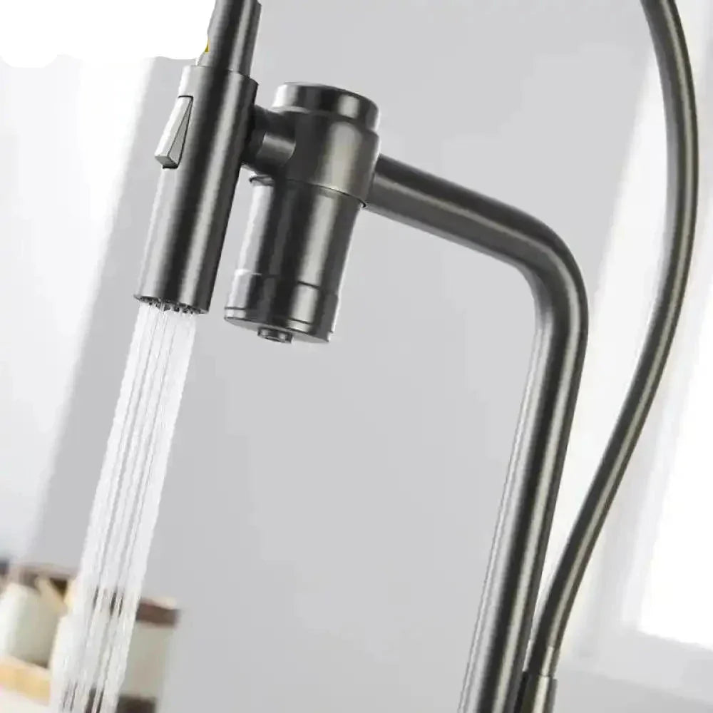 Gourmet Faucet with Filter, Single Lever, Countertop, Eirelez Platinum