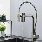 Gourmet Faucet with Filter, Single Lever, Countertop, Eirelez Platinum