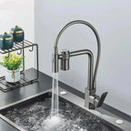 Gourmet Faucet with Filter, Single Lever, Countertop, Eirelez Platinum