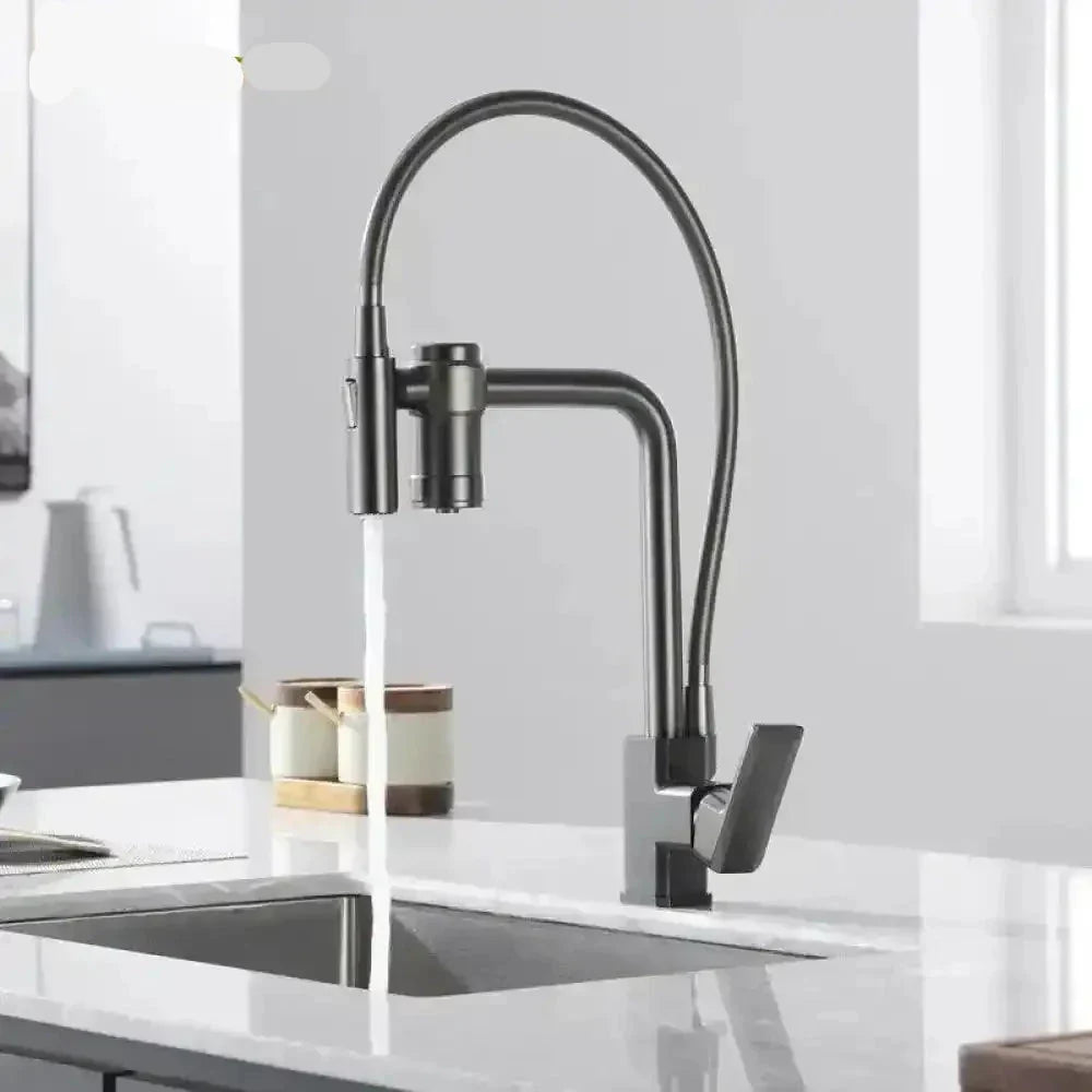 Gourmet Faucet with Filter, Single Lever, Countertop, Eirelez Platinum