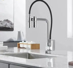 Gourmet Faucet with Filter, Single Lever, Countertop, Eirelez Platinum