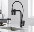 Gourmet Faucet with Filter, Single Lever, Countertop, Eirelez Platinum