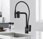Gourmet Faucet with Filter, Single Lever, Countertop, Eirelez Platinum